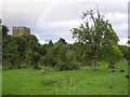 Orchard, Ilmington