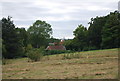 Looking towards Wykeham Oast