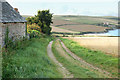 Track and footpath north from Tregirls Farm to the beach