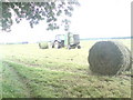 Hay making