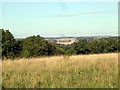 Winchester Cathedral from Whiteshute Hill