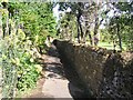 Narrow short-cut, Ilmington