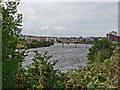 Down River from Avondale Gardens - Cardiff