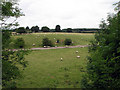 Colsterworth North Quarry: the lorry road