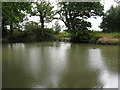 Pond opposite footpath to Spicer