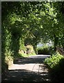 Lane near Stiniel