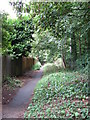 Path below the railway embankment