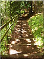 Steps on the Clyde walkway.