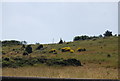 Beacon, Beltinge Cliff