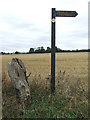 Plastic Footpath Sign