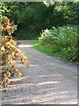 Bridleway near Chisbury