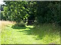 Footpath, Lodge Farm