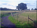 Bridleway near Cropston Leys