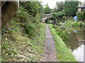 Woodley, towpath