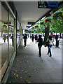 Promenade near Cavendish House, Cheltenham