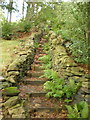 Footpath off Halifax Lane