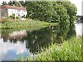 Forth and Clyde Canal