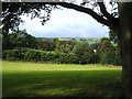 Whiteley Wood, looking west