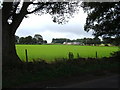 Fields opposite Hangram Lane Farm