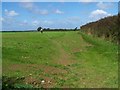 Footpath To Veryan