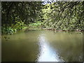 The millpond at Melinsey Watermill