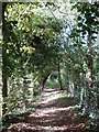 Footpath from Farm Lane