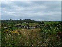 SD3784 : Fields near Backbarrow by David Brown