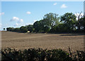 Field east of Stackwood Road