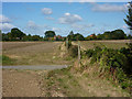 Footpath towards Hadleigh Heath