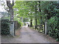 Entrance to Pine Hill, Old Forewood Lane