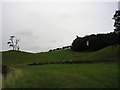 The Well and Roundel, Woodend