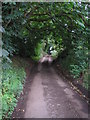 The Borders Abbeys Way at Mount Ulston