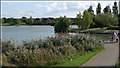 Furzton Lake, Milton Keynes. Feeding the ducks.