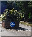 Traffic Calming, North Foreland Avenue