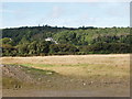 S6107 : Fields and woodland near Killure Bridge by David Hawgood