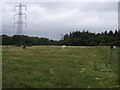 Pylons across the field