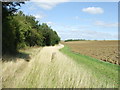 Blue Sky Brown Fields