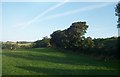 Pasture land north of the Dublin Road