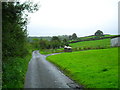 Tareesh Lane, Murvaclogher & Broclough Townland