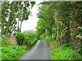 Tareesh Lane, Murvaclogher & Broclough Townland