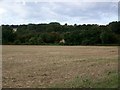 Stubble field, Lopcombe Corner