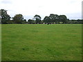 Grazing Land off Lees Lane