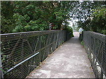 SP5076 : Footbridge over the River Avon by Ian Rob