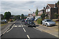 Moggie on Woodlands Road, Ditton