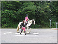 Horse rider in roundabout