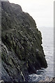 SM7109 : Cliffs to the west of the Bull Hole, Skomer by John Rostron