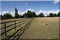 Paddock fencing at West Lodge