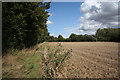 Footpath near Colchester Green