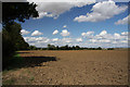 Open farmland near Gedding