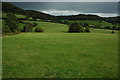 Valley above Uley